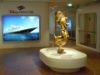 DSCN4676