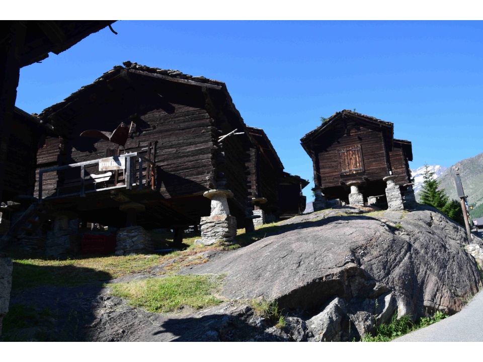Inland SVSNE 056