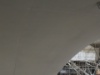 IMG 0243
