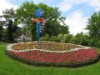 IMG 0002